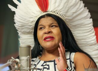 Ministra Sônia Guajajara destaca participação indígena na COP30