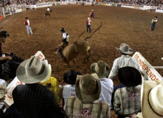 Festa do Peão de Barretos reúne shows e rodeios até 31 de agosto
