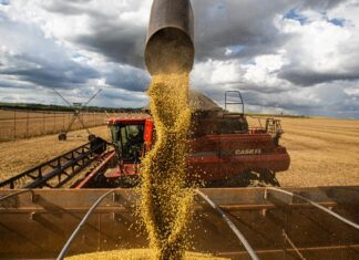 Queda no preço dos alimentos vai permanecer, diz ministro