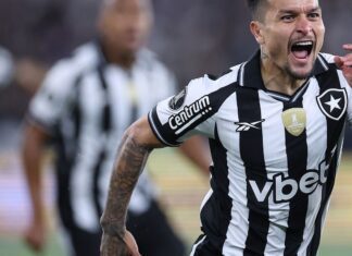 Botafogo vence LDU na Libertadores com gol relâmpago Botafogo vence LDU na Libertadores com gol relâmpago