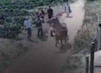 Homem é Morto A Pauladas Em Disputa Por Herança Na Bahia