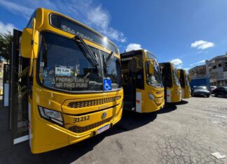 Prefeitura Reforça Transporte Coletivo Com 13 Novas Linhas E Cinco Reativadas