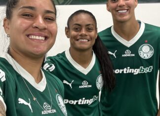 Palmeiras e Cruzeiro vão duelar nas semifinais do Brasileirão Feminino Palmeiras e Cruzeiro vão duelar nas semifinais do Brasileirão Feminino