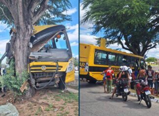 VÍDEO: Acidente Com ônibus Escolar Deixa Dez Feridos Na Bahia