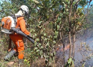 Bombeiros Combatem Há Mais De 24h Incêndios No Oeste Da Bahia