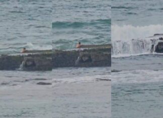 Homem Desaparece No Mar Da Bahia Ao Tentar Se Agarrar Em Rochas