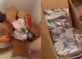 VÍDEO: Polícia Apreende 220 Kg De Cocaína Após Denúncia Anônima