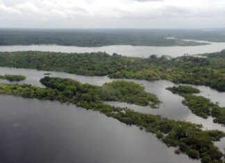 Amazônia Tem Alta De Desmatamento E Cerrado Registra Queda