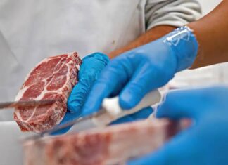 Brasil Inicia Exportação De Carne Bovina Para A Indonésia E Ovinos Vivos Para A Argélia
