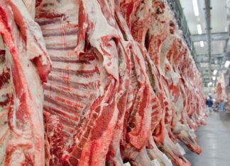 Exportação de carne bovina bate recorde em mês anterior ao tarifaço