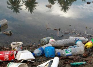 Impactos do microplástico são graves e afetam o ambiente e as pessoas
