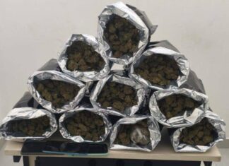 PM Apreende Carga De Droga Avaliada Em R$ 60 Mil