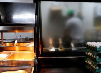 Setor de serviços atingiu recorde de 15,2 milhões de empregos em 2023