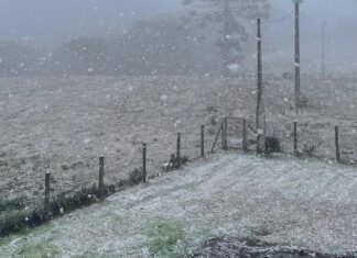 Cidades do Rio Grande do Sul amanhecem com neve