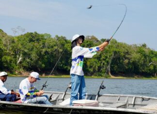 Comitê mira expansão sustentável da pesca amadora e esportiva no país Comitê mira expansão sustentável da pesca amadora e esportiva no país