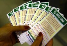 Mega-Sena 30 Anos Sorteia Dezenas Milionárias; Prêmio Passa De R$ 336 Milhões