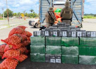 Polícia Apreende Mais De 500 Kg De Cocaína Escondidos Em Carga De Cebolas