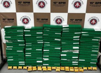 Idoso é Preso Com 95 Quilos De Maconha E Haxixe No Sul Da Bahia