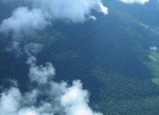BNDES Lança Novo Edital Para Restauração Ecológica Na Bacia Do Xingu