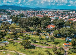 IBGE quer mapear áreas verdes em territórios urbanos do Brasil