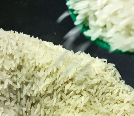 Conab anuncia R$ 300 milhões para produtores de arroz na safra 2025/26