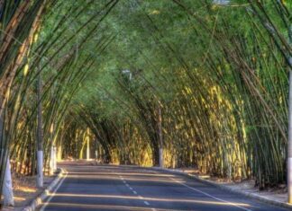 Motorista De Aplicativo E Passageiros São Assaltados Próximo Ao Aeroporto De Salvador