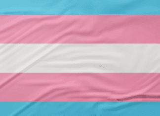 Pesquisa recomenda ações de prevenção ao HPV focadas em pessoas trans