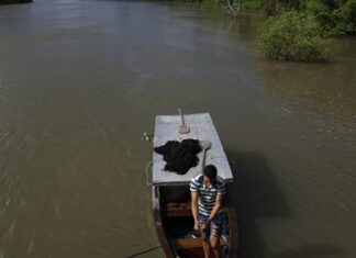Viva Maria apresenta a trechos da série Somos Amazônia