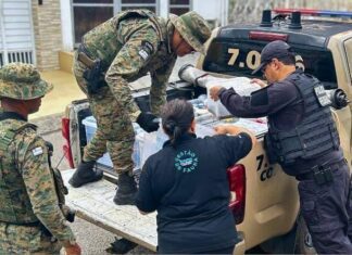 Operação Conjunta Apreende 240 Animais Silvestres Em Salvador