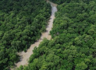 Ministério aprova projetos de economia de energia na Amazônia
