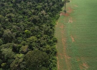 Brasil apresenta soluções de financiamento climático em Nova York Brasil apresenta soluções de financiamento climático em Nova York