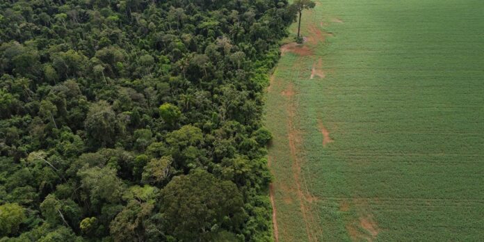 Brasil apresenta soluções de financiamento climático em Nova York
