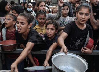 Desnutrição infantil em Gaza atinge novo recorde em agosto, diz Unicef Desnutrição infantil em Gaza atinge novo recorde em agosto, diz Unicef