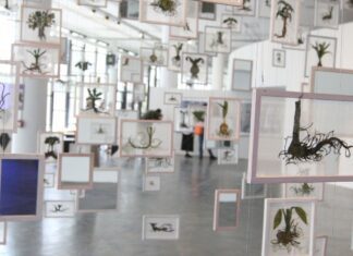 36ª Bienal de São Paulo abre suas portas neste sábado, no Ibirapuera