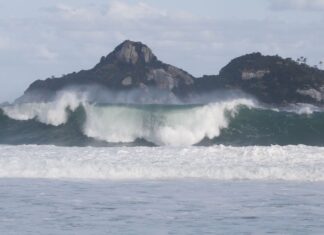 Jovens de 9 países participam de curso de pesquisas oceânicas no Rio