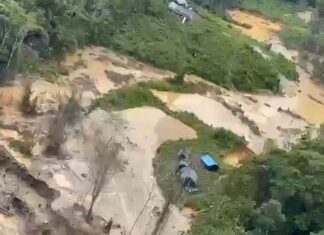 União terá que adotar medidas emergenciais para proteger os Yanomami