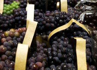 BNDES aprova R$ 1,2 bi para empresas afetadas pelo tarifaço