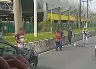 Idoso Morre Atropelado Na Avenida Paralela Em Salvador