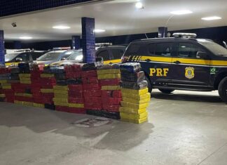 PRF Apreende Quase Duas Toneladas De Maconha Em Vitória Da Conquista