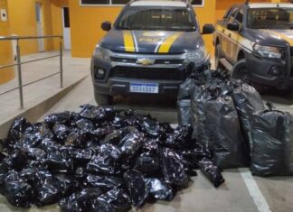 PRF Apreende 109 Kg De Maconha Na BR-324, Em Simões Filho