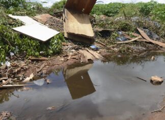Estudo revela desigualdade no impacto da dengue e chikungunya