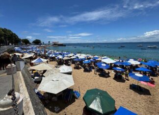 CMS Aprova PL Que Restringe Kits De Praia No Porto Da Barra; Saiba Mais