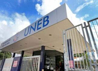 Curso Gratuito Sobre Equidade E Diversidade Na Educação São Ofertados Em Salvador