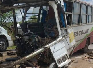 Acidente Entre ônibus Escolar E Carreta Deixa Mortos Na BR-116, Em Tucano