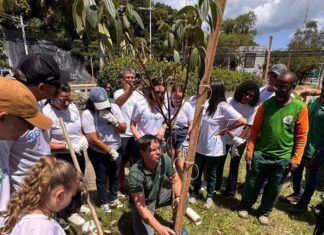 VÍDEO: Voluntários Da Record Bahia E Rádio Sociedade Vão As Ruas Plantar árvores Em Salvador