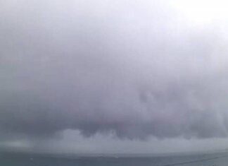 Salvador Registra 169 Ocorrências Por Causa Da Chuva; Ventos Chegam A 75 Km/h