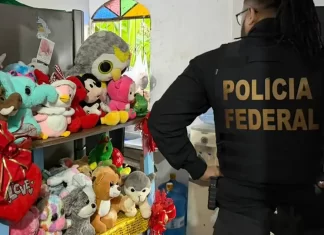 Polícia Federal Deflagra Operação Nacional Contra Crimes Sexuais Infantis Na Internet
