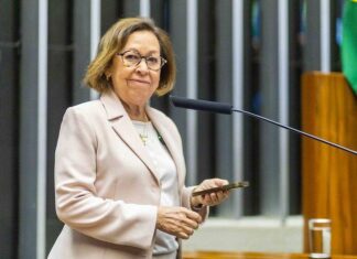 Câmara Aprova Projeto De Lídice Da Mata Que Protege Crianças Na Internet