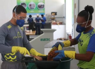 Tecnologia Baiana Revoluciona Compostagem E Reduz Emissões De Carbono