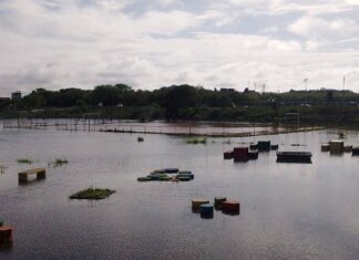 Parque Rosa Dos Ventos Amanhece Nesta Quinta-feira (23) Embaixo D’água